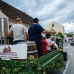 Zlatne žice Slavonije - Najveći festival tamburaške glazbe u Hrvatskoj - Zlatne žice Slavonije: Petak 6.9.2024.